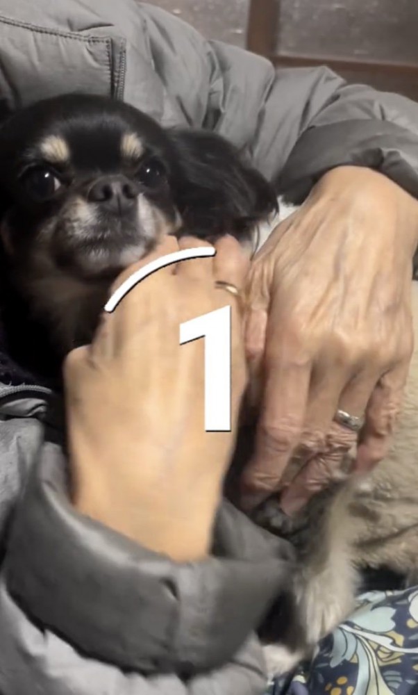 とっても仲良し