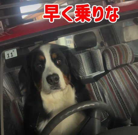 ベテランドライバーみたい!