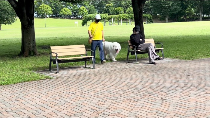 ベンチに座って、犬が来るのを待つ男性