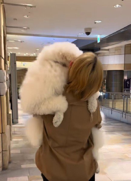 しがみつく前足も愛おしい♡