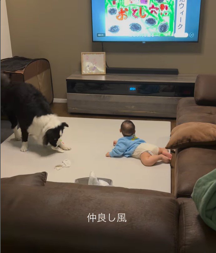 こり男くんと赤ちゃん2