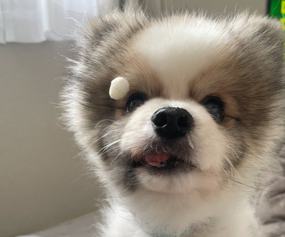 おやつの行方
