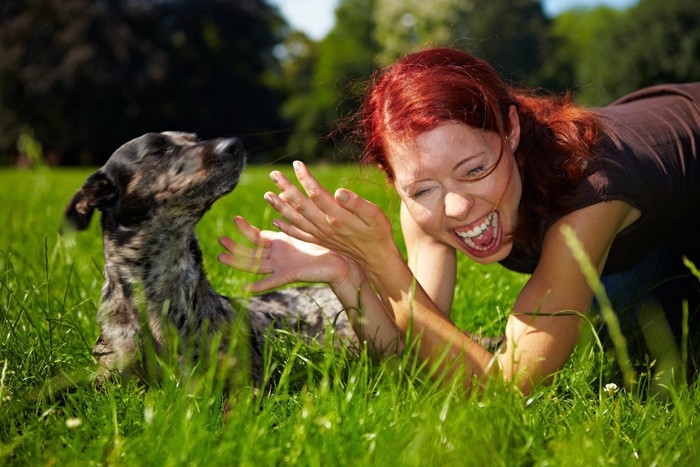 女性の赤い髪を噛んで引っ張る犬