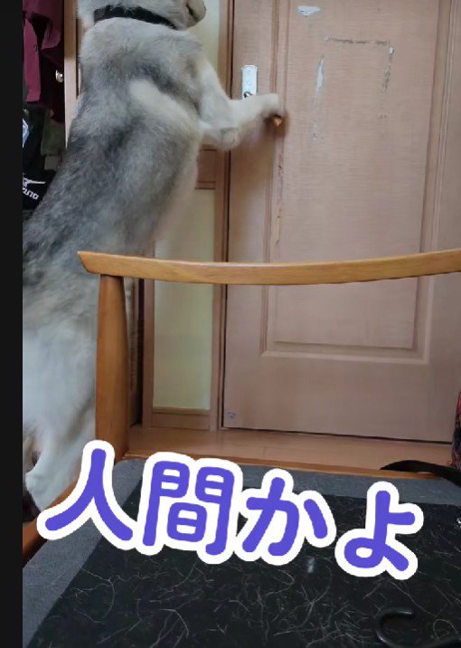 ドアノブを持って…