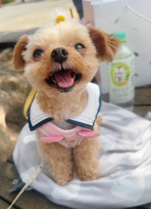 まるで天使のよう…！