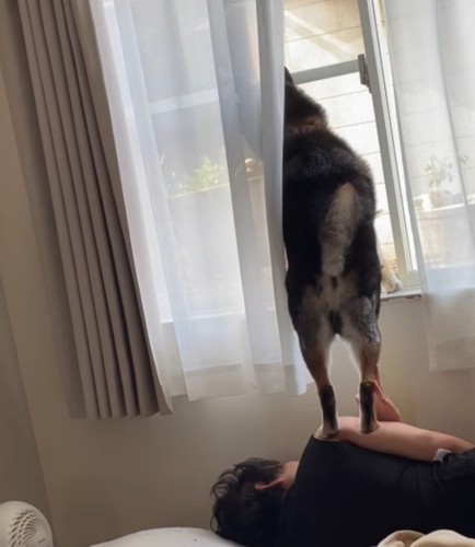自分の上に乗っている犬の足を優しく手のひらで触る飼い主