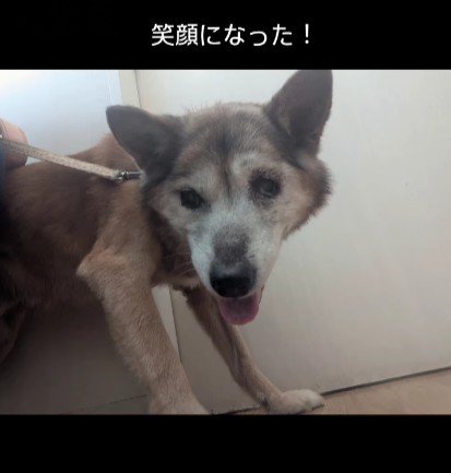 笑顔を見せてくれるように！！