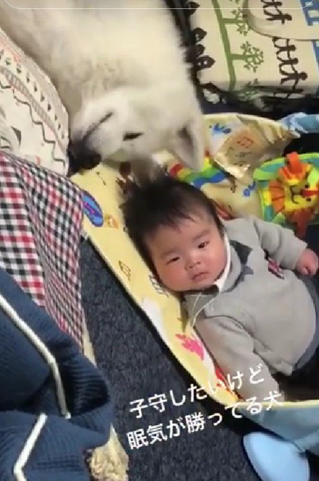 眠気に勝てない