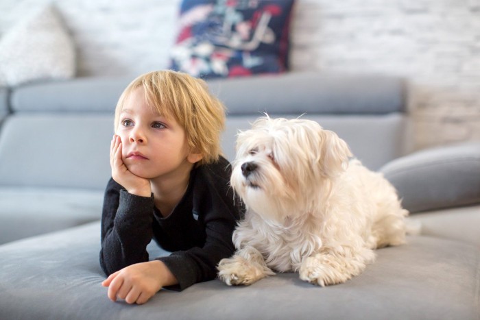 子供と白い犬