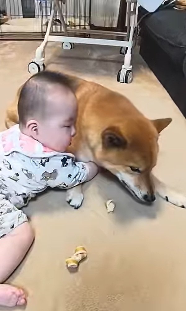 ロック君に抱きつく赤ちゃん