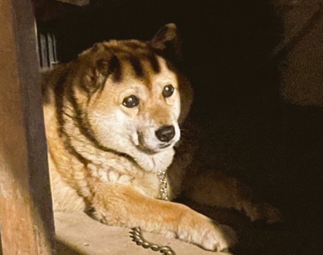 前髪が生えた！？