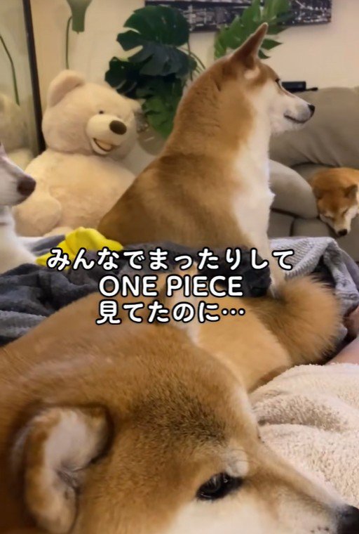 みんなでまったり…♪