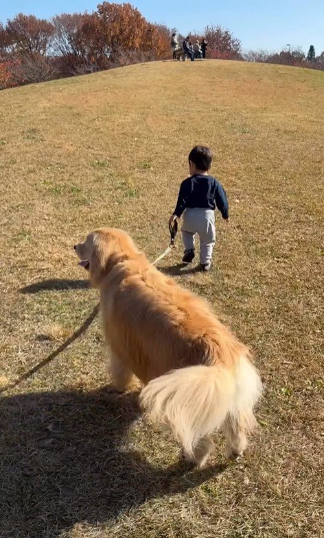 現在のオレオくんと弟くん