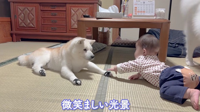 微笑ましい光景です