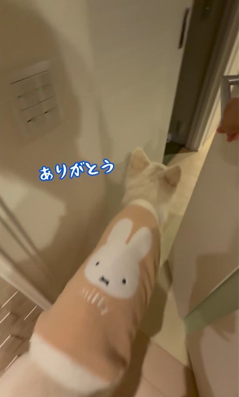 れお君の表情の変化6