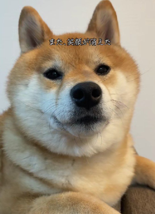 「え…今なんて…？」