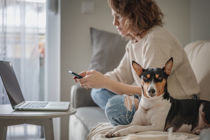 スマホを触っている女性の隣に伏せている犬