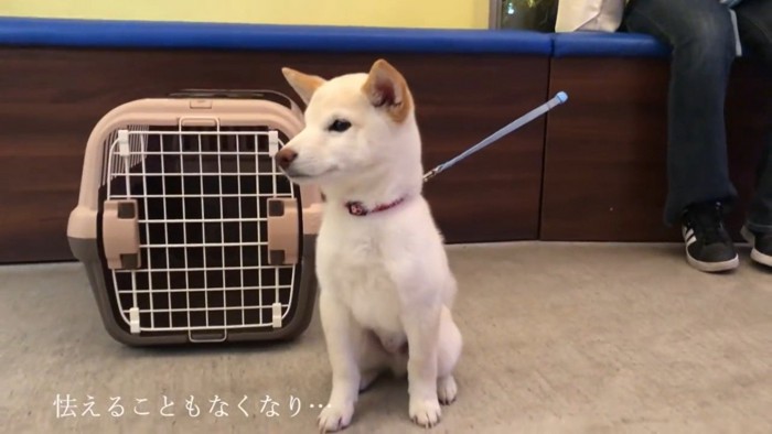 3回目はリラックスして待機