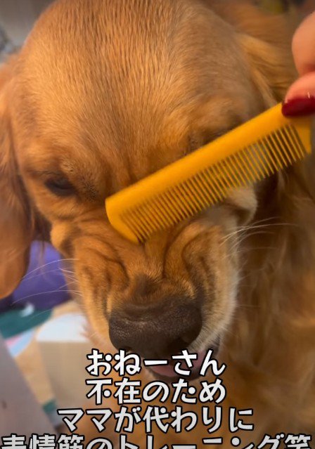 顔がしわくちゃ！