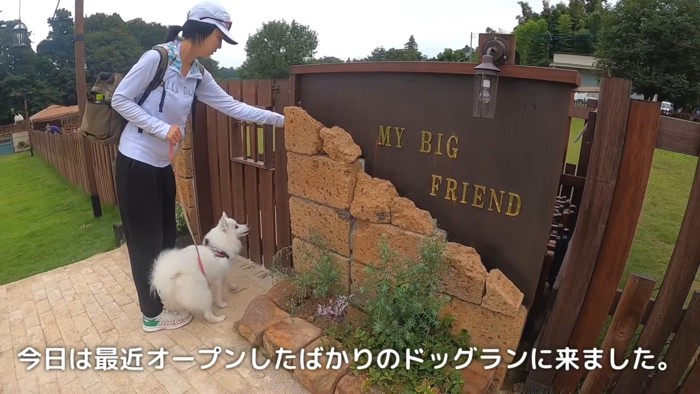 ドッグランの門の前の飼い主とスピッツ