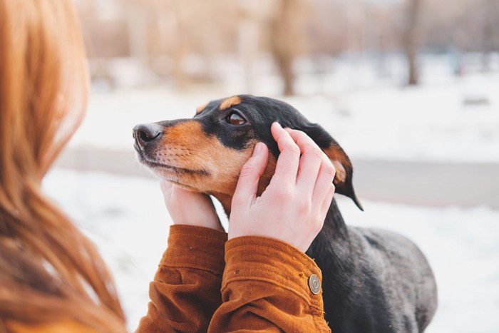 女性になでられている犬