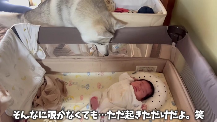 「なんか音がした！！」