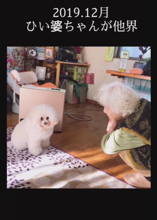 ひいおばあちゃんとぷぷちゃん