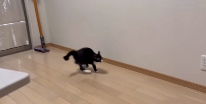 やんのかステップ1