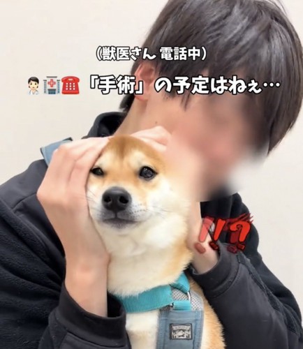 目を丸くする犬