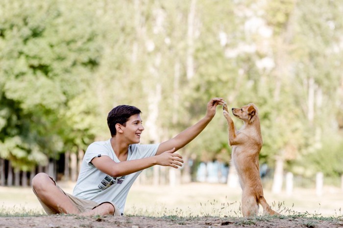 小型犬と遊ぶティーン男子