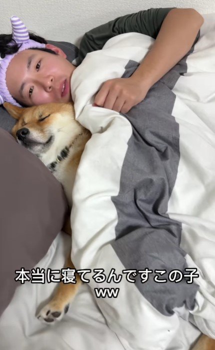 実は眠たいだけ！