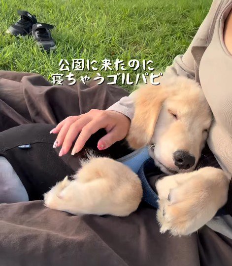 ほとんど遊ばずお昼寝開始!