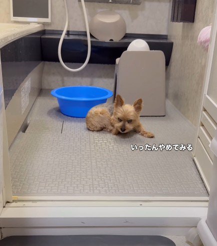 疲れたら一休み
