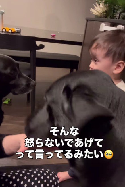 怒られちゃった！！