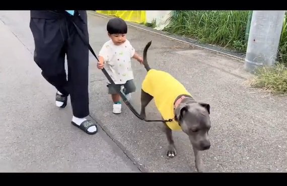 散歩するふたり