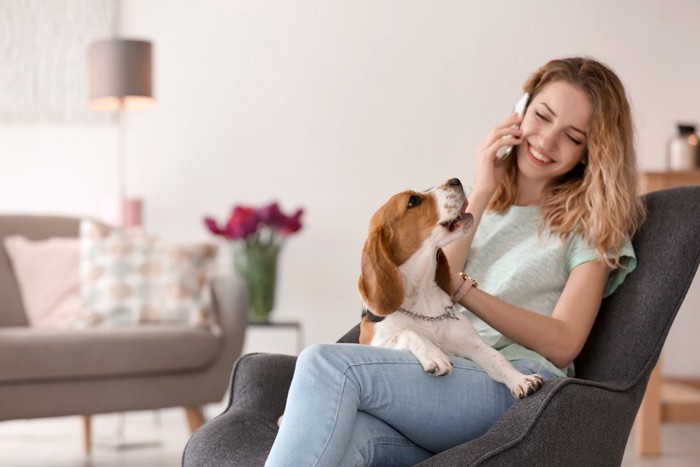 電話する女性と膝の上に乗る犬