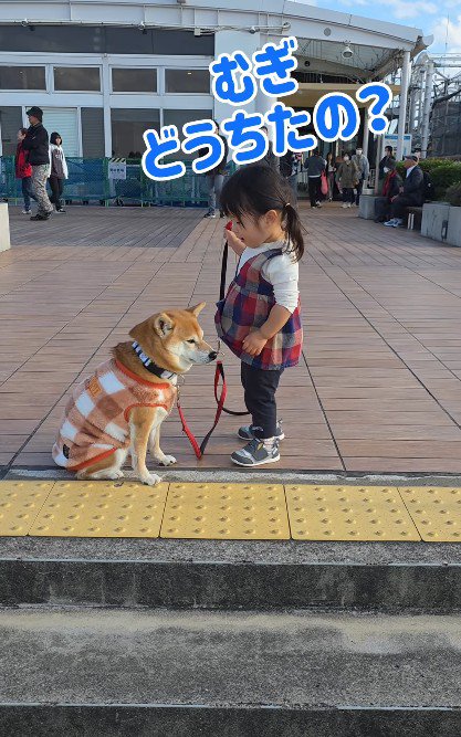 「どうしたの」