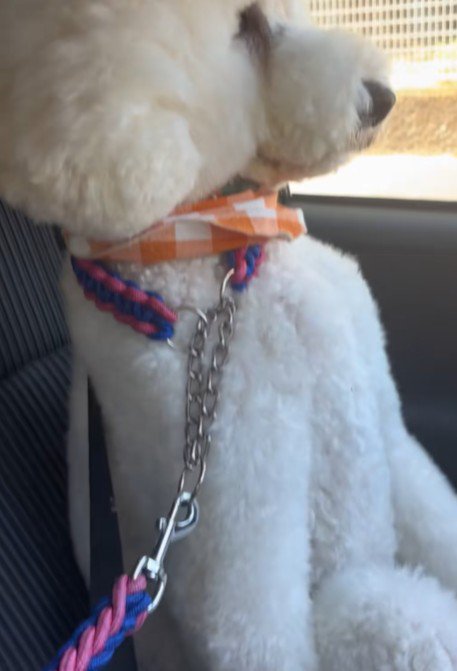 姿勢よすぎ…！！