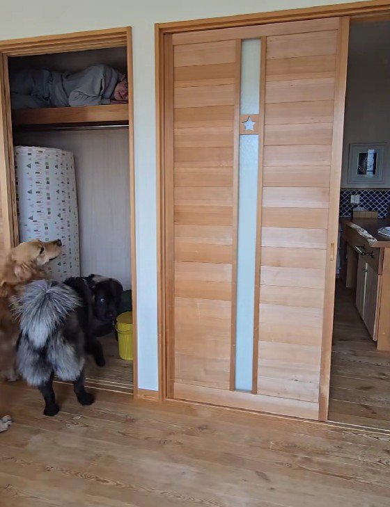 「ここからニオイがする…」