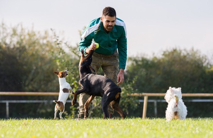 ドッグトレーナーと犬