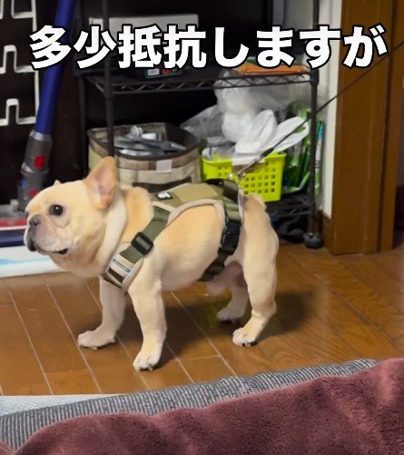 少しだけ抵抗！？