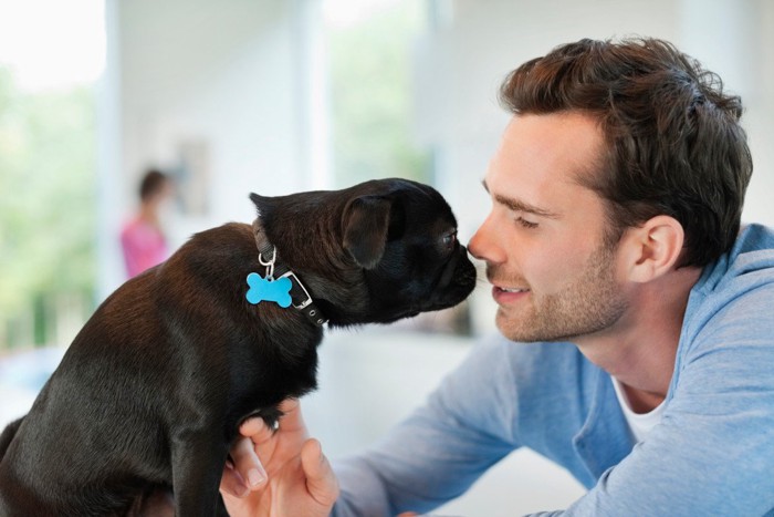 男性の顔をじっと見つめる犬