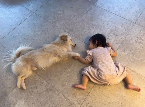 最近のこたつ君と赤ちゃん2