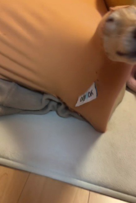 中で大暴れ！！