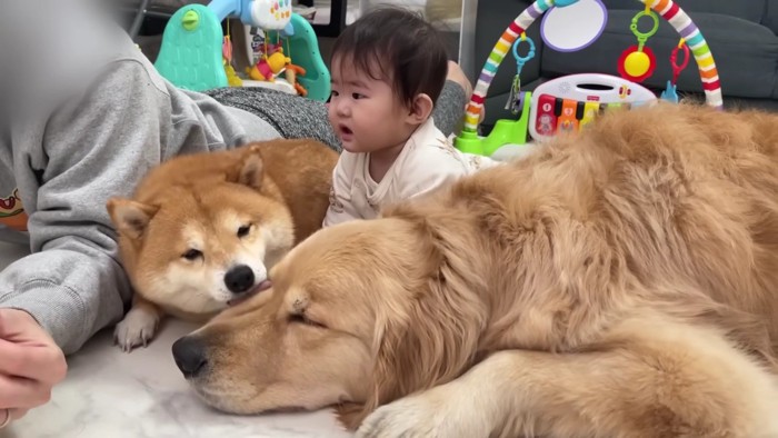 微笑ましい光景にホッコリ