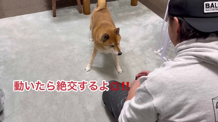 「騙すつもりだな！」