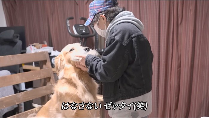 女性に叱られる兄犬