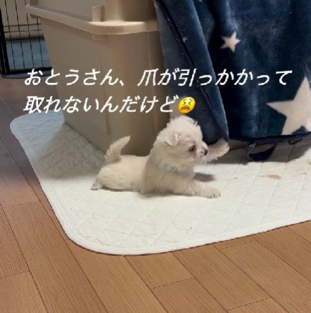 なぜか爪が引っかかったり