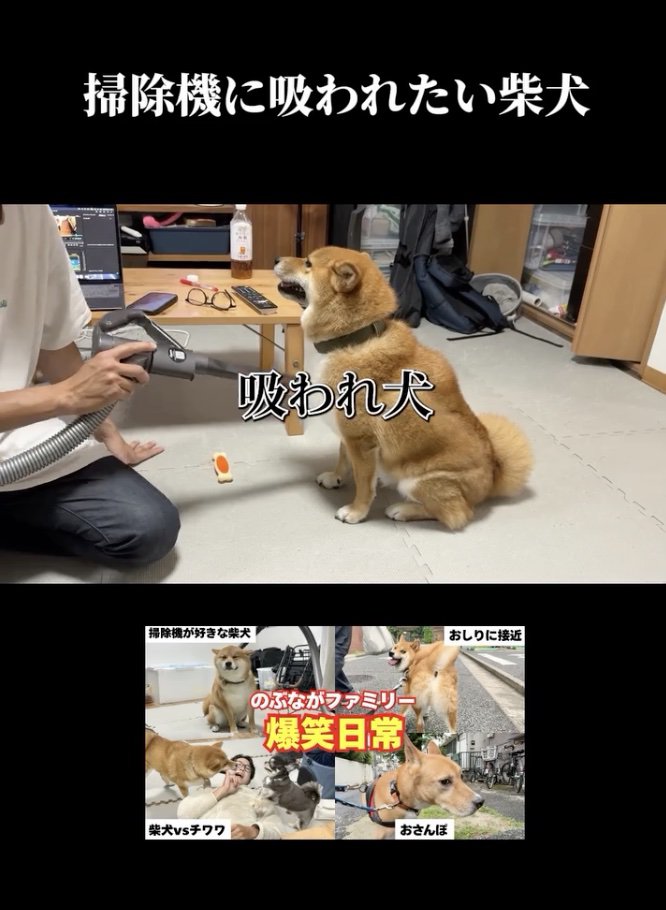 大満足