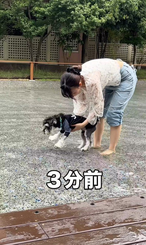 初めてプールに入ったそらまめ君